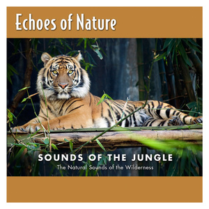 他用手抓着我的大奶子,一手摸着我的逼逼
